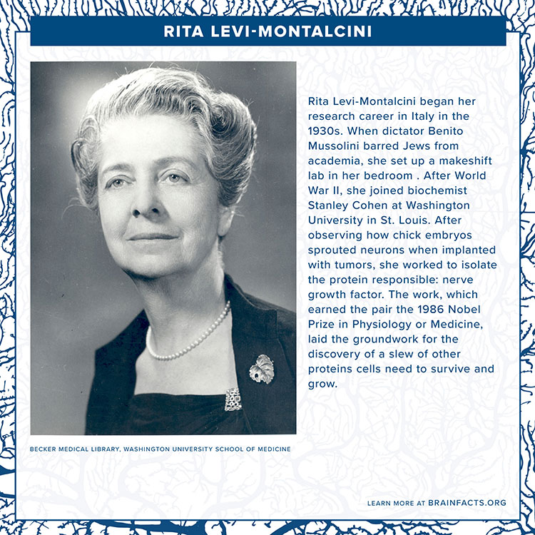 Rita Levi Montalcini Brain Byte final