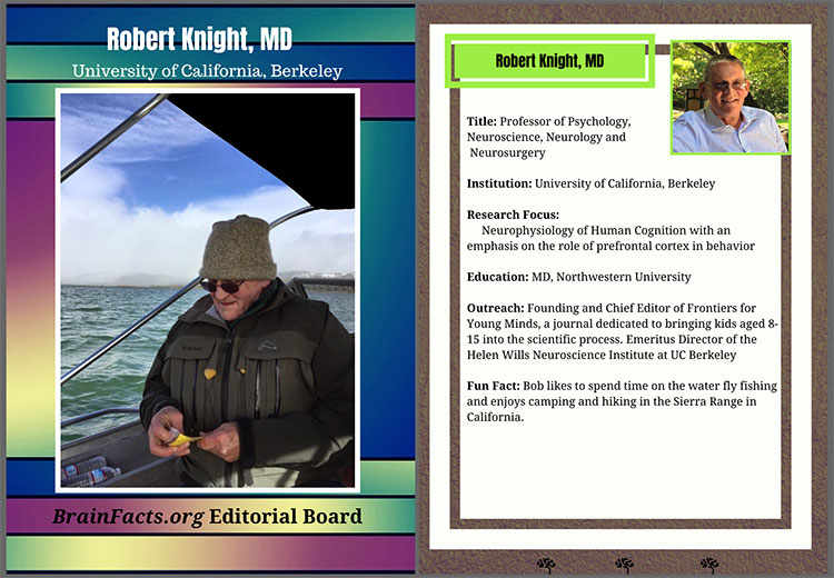 Robert Knight editorial board card