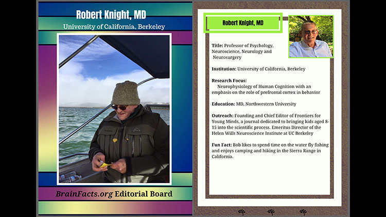 Robert Knight editorial board card