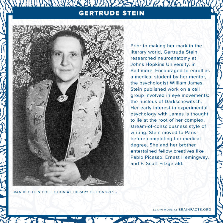 image of gertrude stein brain byte