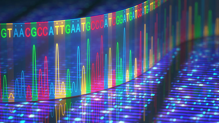 Rett syndrome gene