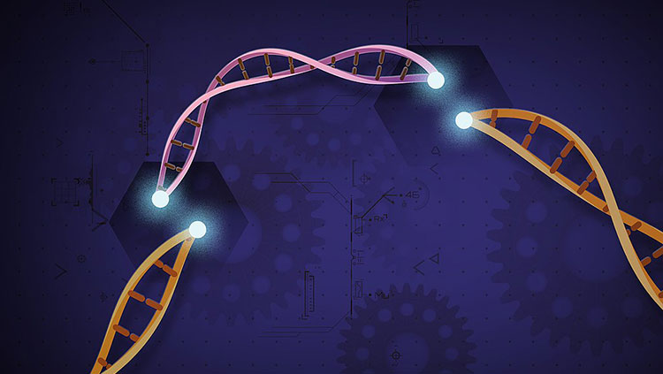 CRISPR-Cas9 Concept