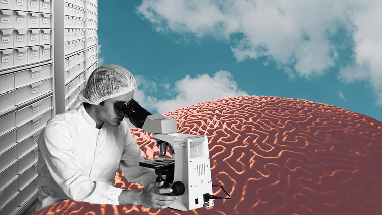 Collage of researcher, brain coral, and open sky