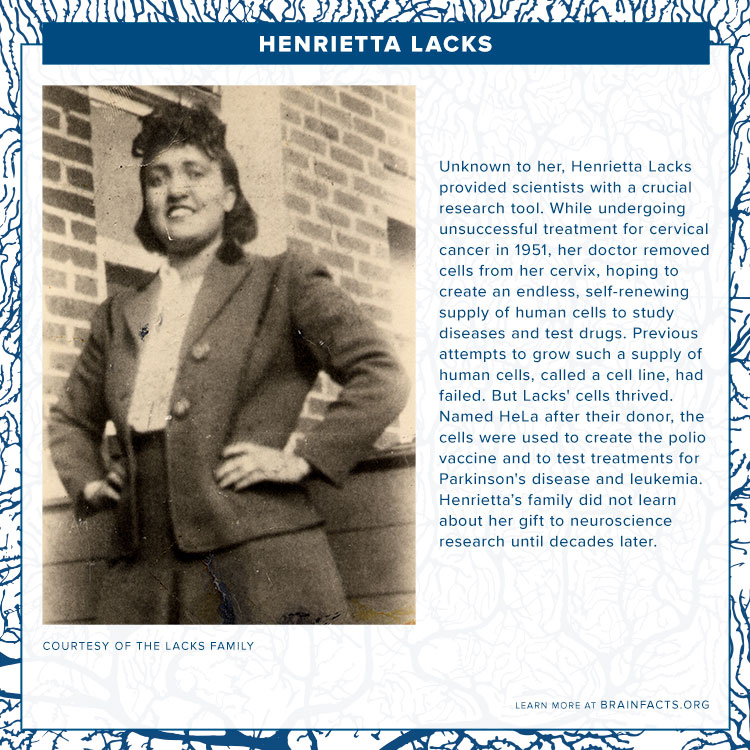 brain byte henrietta lacks