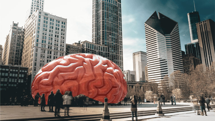 pink brain as the chicago bean