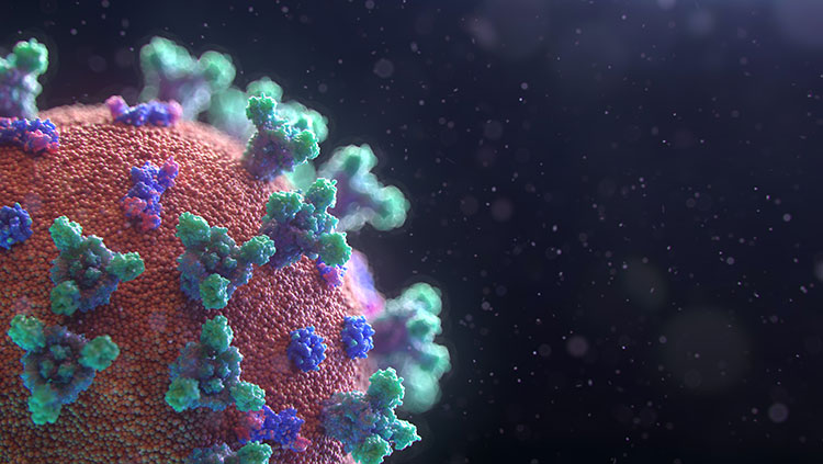 New visualisation of the Covid-19 virus