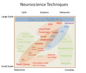 Neuroscience “scales of knowing”.