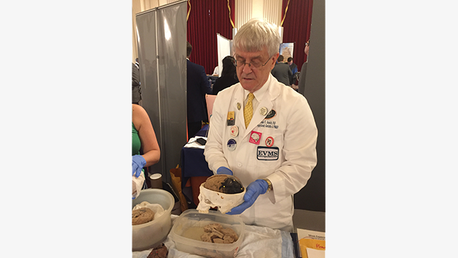 Neuroscientist Paul Aravich shows visitors a human brain and skull specimen. 