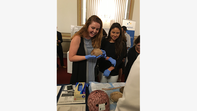 An attendee at the Public Health Fair holds a human brain.