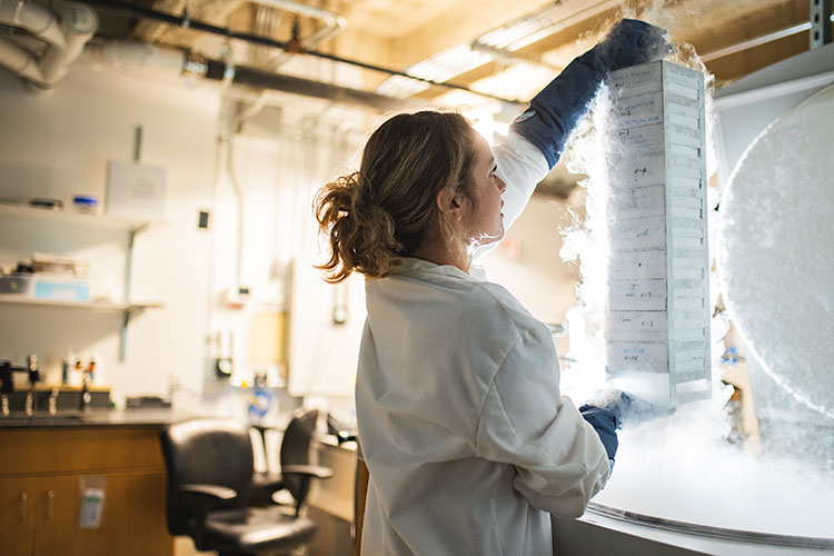 Woman working in a lab