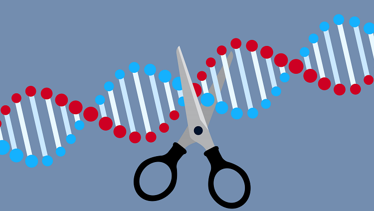 dna with scissors