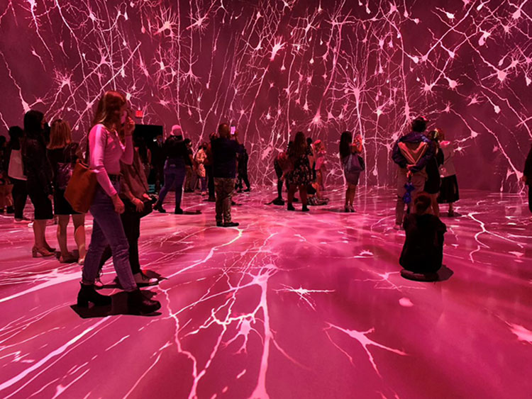 Visitors walking through Artechouse exhibit