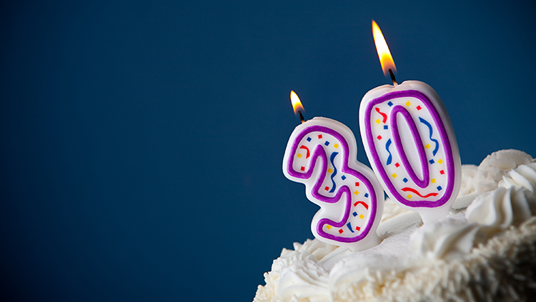 Photograph of a cupcake with birthday candles