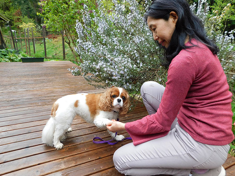 Woman kneeling with dog