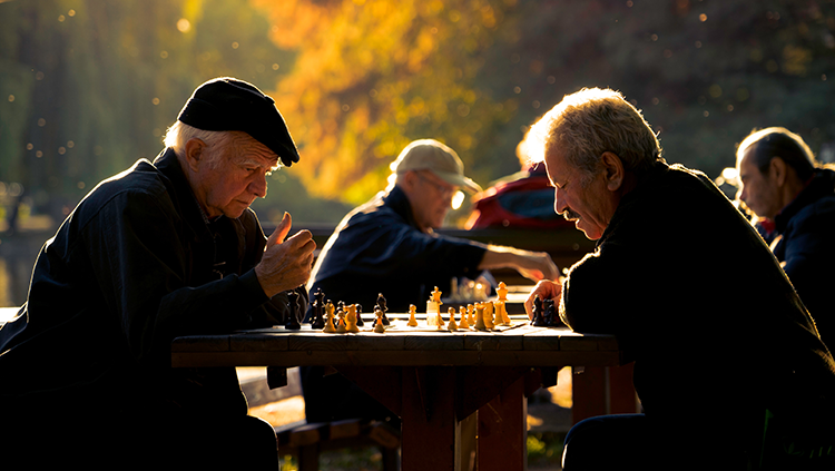 men playing chess at park