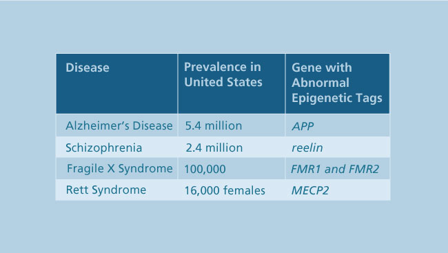 Certain brain diseases and disorders thought to be linked to epigenetic tagging