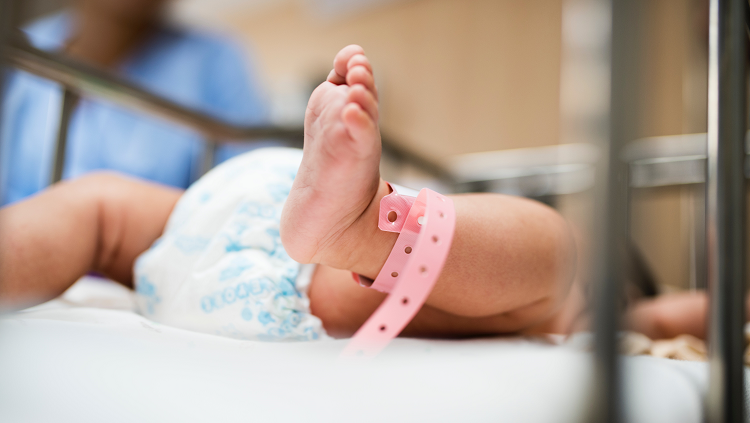 baby legs hospital bed