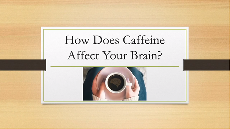 https://www.brainfacts.org/-/media/Brainfacts2/Thinking-Sensing-and-Behaving/Diet-and-Lifestyle/Article-Images/caffeine-brain-thumbnail.png