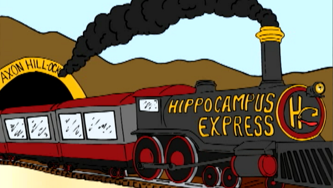 Visit the wild west of neuroscience. An illustration of the "Hippocampus Express."