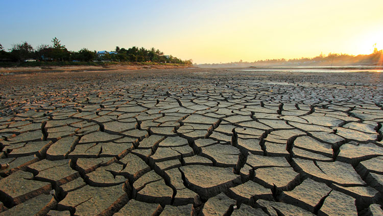 Cracked plains with trees in the background 