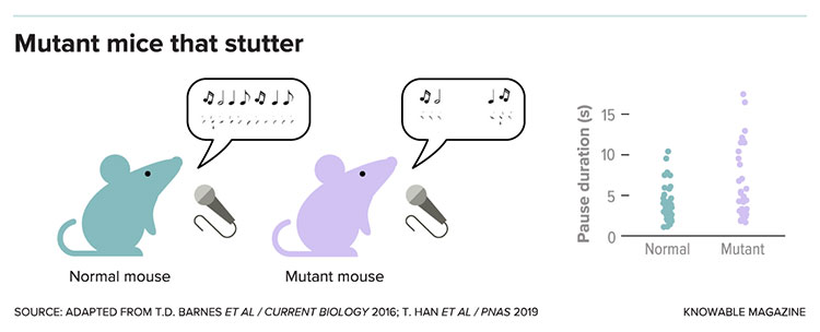 Mutant mice that stutter