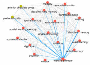 illustration of relationships to different cognitive tasks and working memory