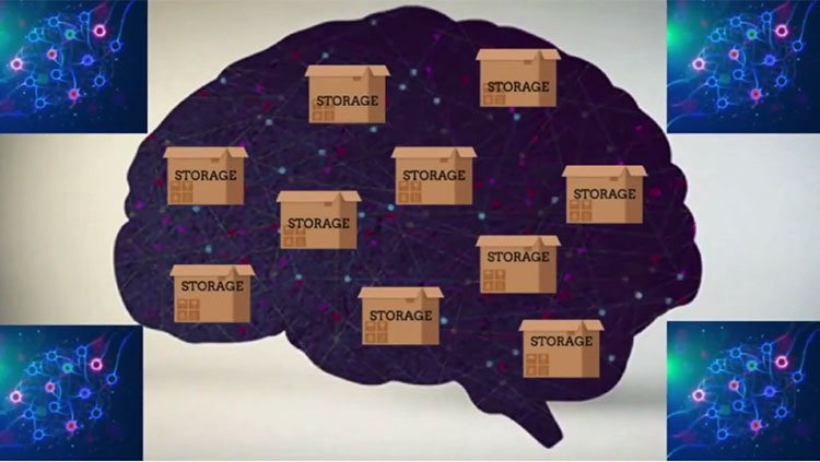 Brain with storage boxes inside 