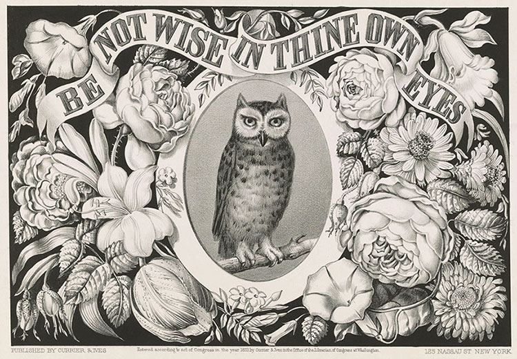 The owl companion to Athena