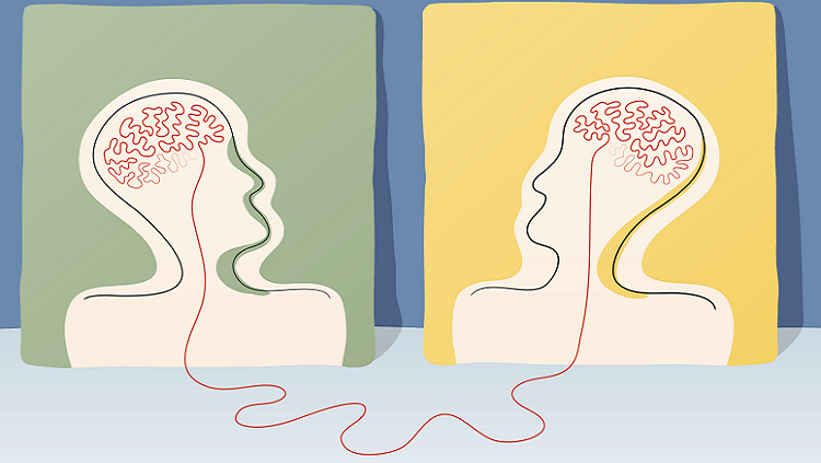 Image of two brains connected by a wire