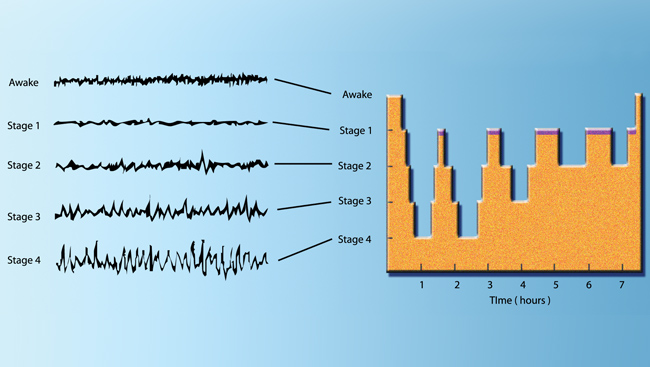 Brain Waves Chart