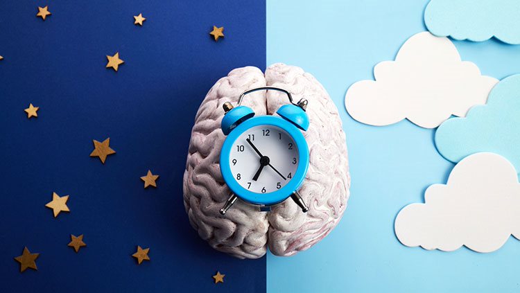 half background of day and night time with a white brain and clock in the middle
