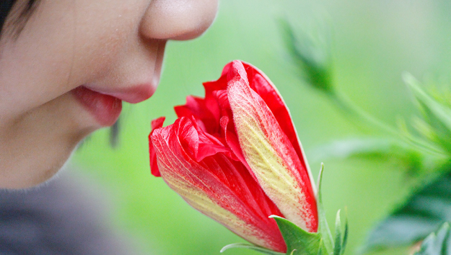 Close up of a girl smelling a flower. 