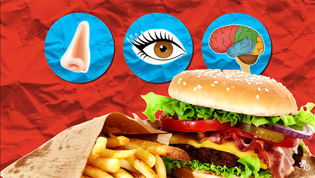 Graphic with french fries and cheeseburger; above float an illustration of a nose, eye, and brain. 