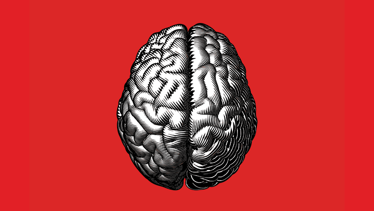 Animated brain on red background