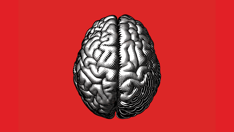 BRAIN Cognitive skills & problem solving assessment