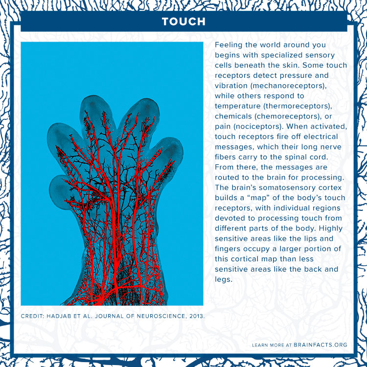 Touch Brain Byte