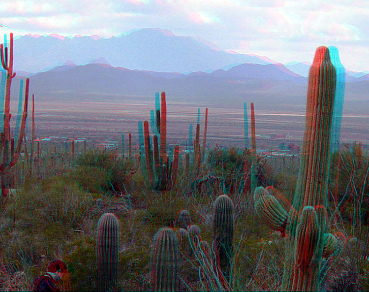 Anaglyph of Saguaro National Park at dusk