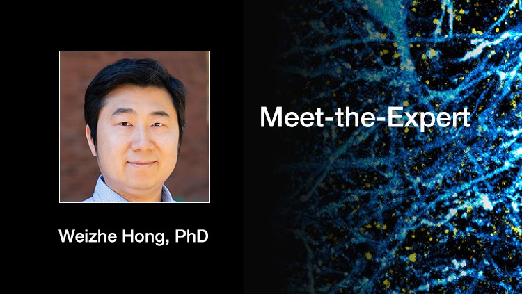 Neural Mechanisms of Prosocial Behavior